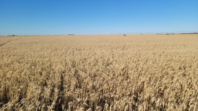 All Aboard Harvest