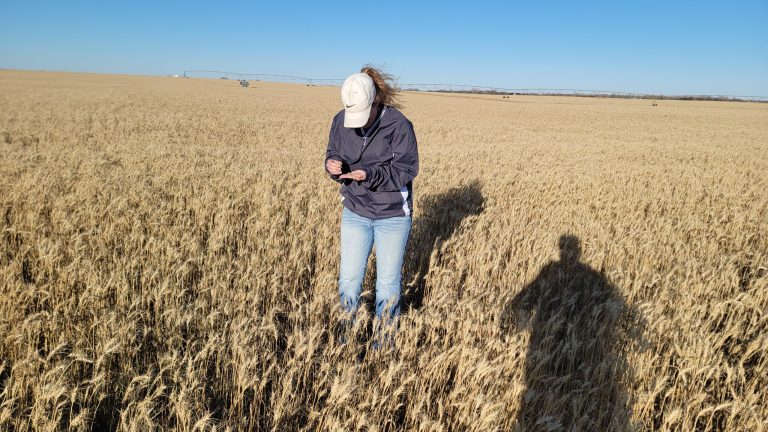 All Aboard Harvest