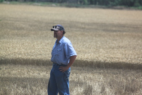 Farmer Mike looks on the action.