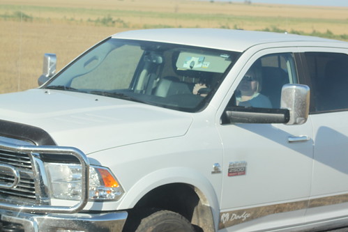 Mom coming to the field means food.