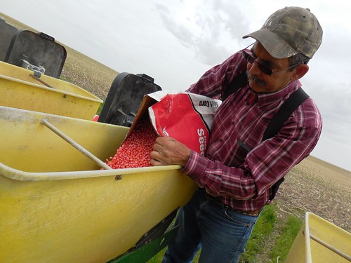 Dad filling up the planter with corn
