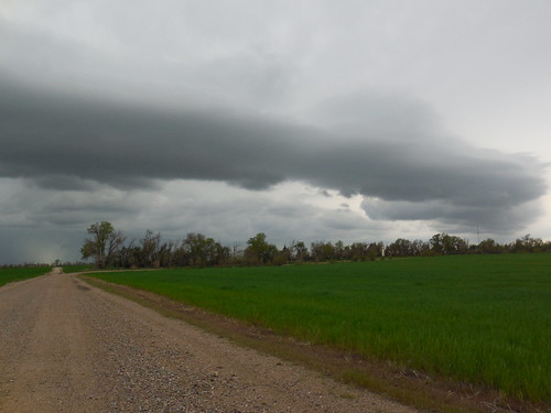 Storm rolling in over the wheat