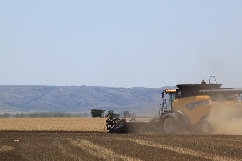 Lunch break, snuck a shot of dad.