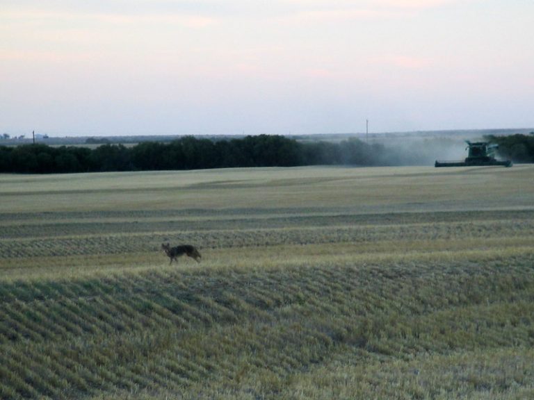 All Aboard Harvest