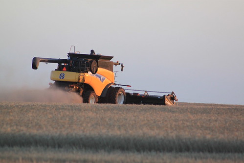 Mom getting her round in during supper.