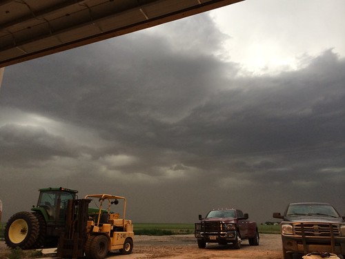 Z Crew: Impending doom