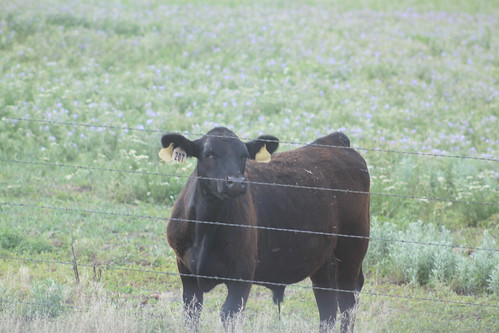 We had a little audience.