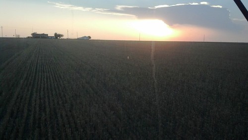 Brandon's dirty windshiel