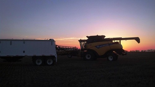 My favorite time of night