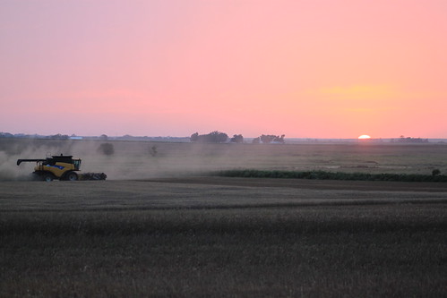 Beautiful sunset sky.