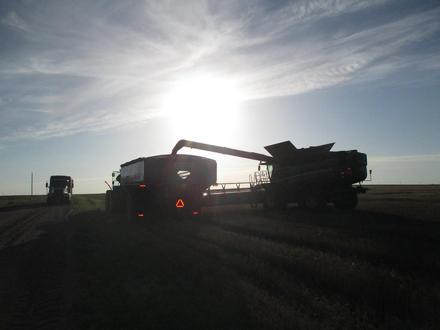 Unloading after returning to cutting after supper