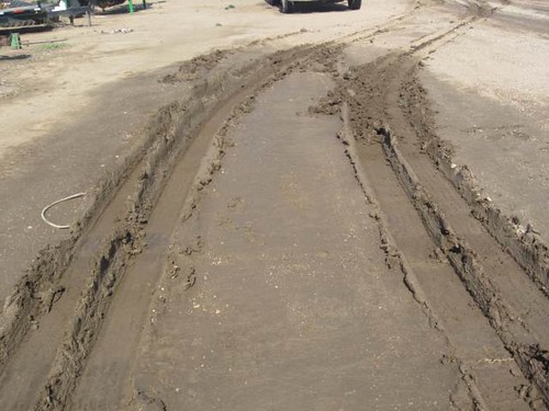 Z Crew: Frank tracks