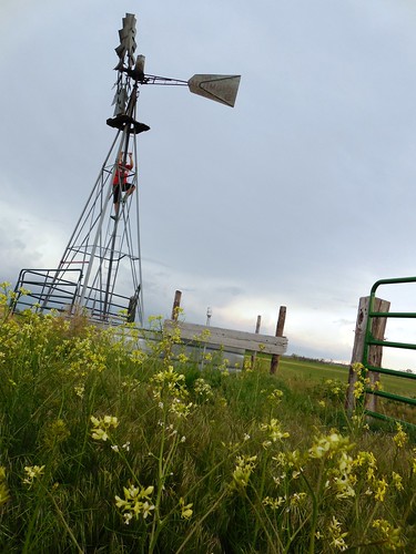 Ash checking windmill