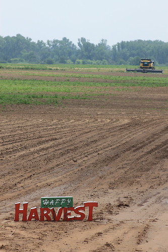 It's still a "Happy Harvest", regardless of the rain. I told you this sign would make guest appearances!