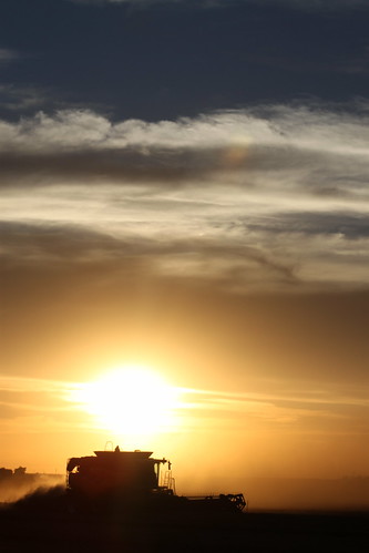 Finishing up another field.