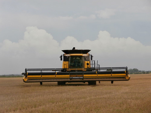 Combine headed in due to rain