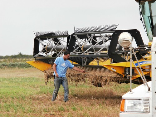 Brandon unplugging the header