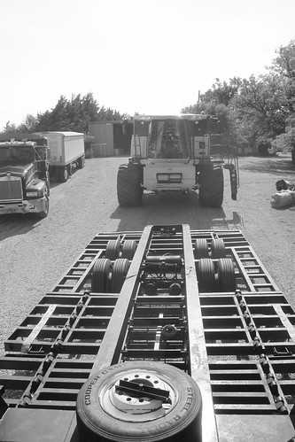 Here comes Brandon! I didn't mean to make this black and white, but it turned out alright.