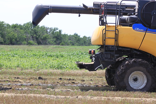 Thank you, rear-wheel assist.