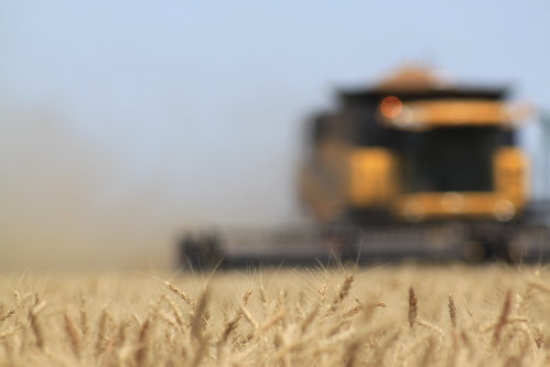 Can't make a full round without filling up!