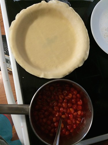 Z Crew: Ready to put in pie