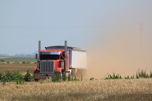 Brandon coming back to the field in the "Red Rose".