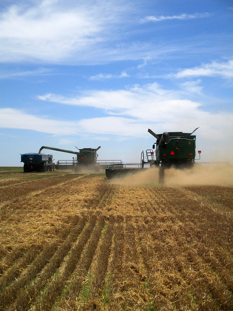 Harvesting while dumping on the go