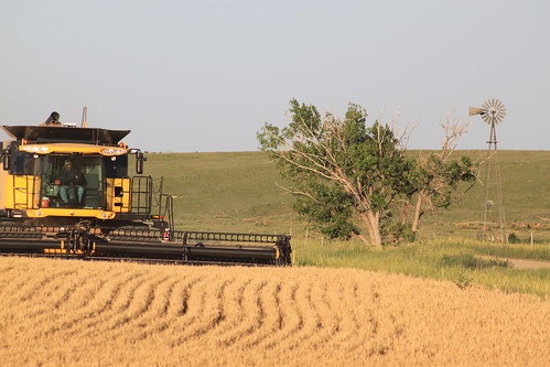 A combine and windmill, does it get any better?