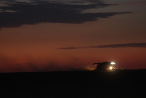 Burning the night oil.