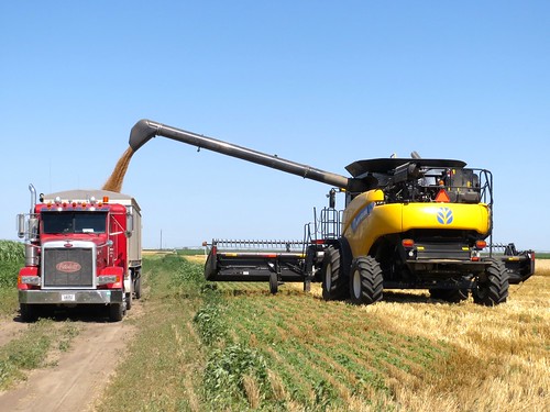 Z Crew: Dumping on Pete