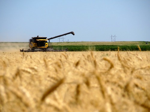 Z Crew: Last field in GC