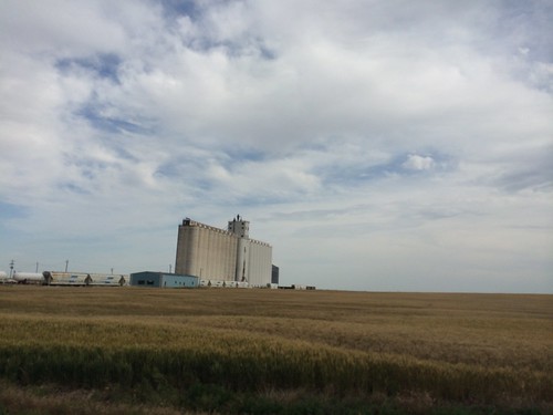 Z Crew: Tennis Elevator