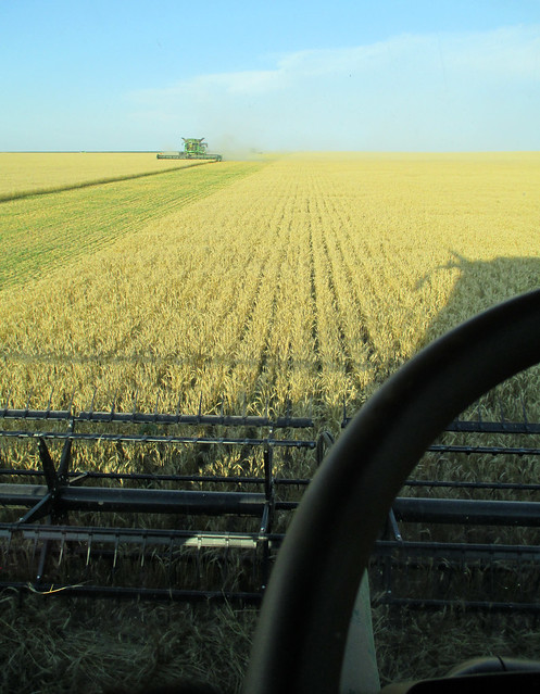 Front and center view