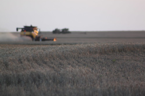 Final rounds before humidity haults us.