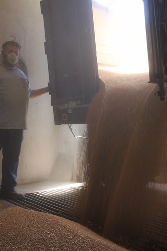 Gail, unloading Purple.