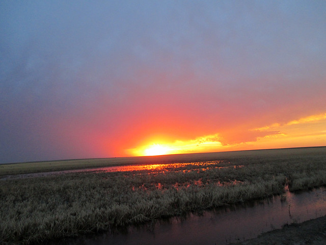 The result of too much rain at once