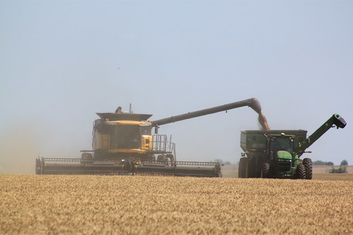 Some unloading action.