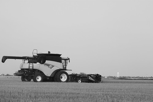 So close to town that we can see the water tower!
