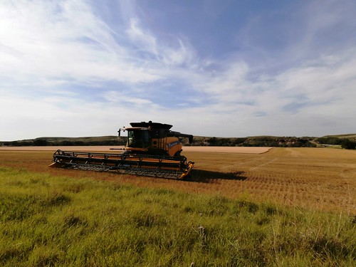 Happy to have the 3rd CR here