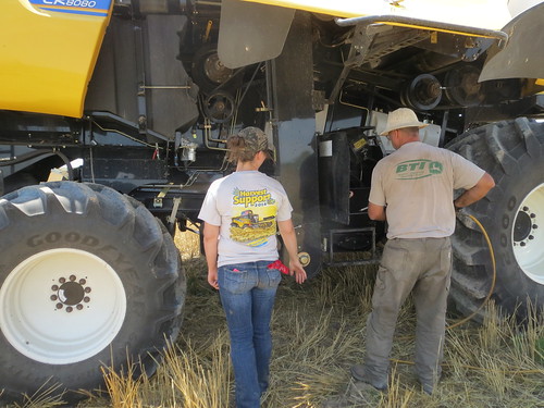 Z Crew: Taylor and Jim