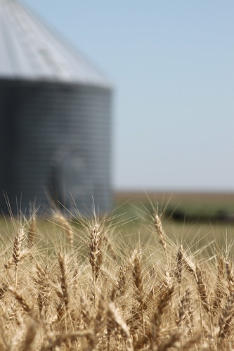 So close to the bin!