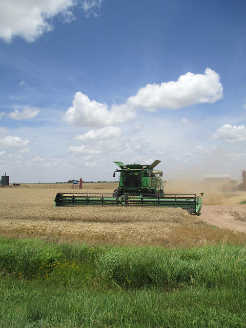 Harvesting in Iuka