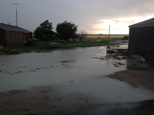 Z Crew: Driveway lake