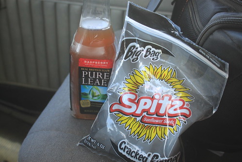 The necessities of traveling: sunflower seeds and a raspberry tea.
