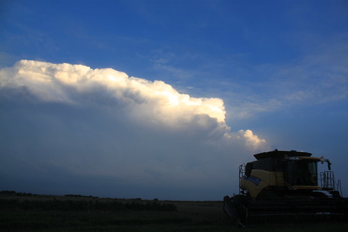 Here come them storm clouds again.