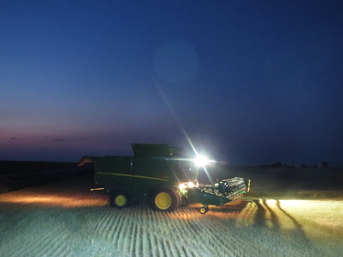 Z Crew: the green ones