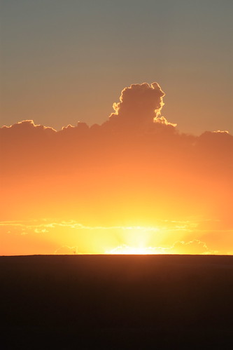 Almost looks like the sky is on fire.