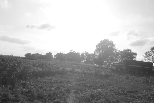 Chillin' at the end of the field.