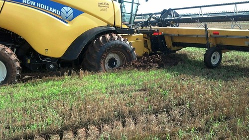 Other view of combine stuck