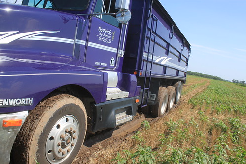 Purple got in a tiny bit of trouble.